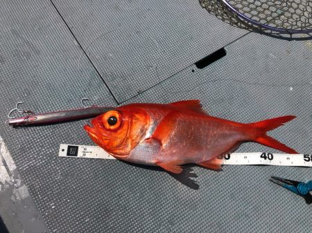 ＴＡＲＯＭＡＲＵ 釣果