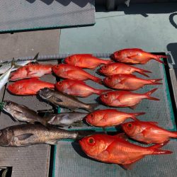 ＴＡＲＯＭＡＲＵ 釣果