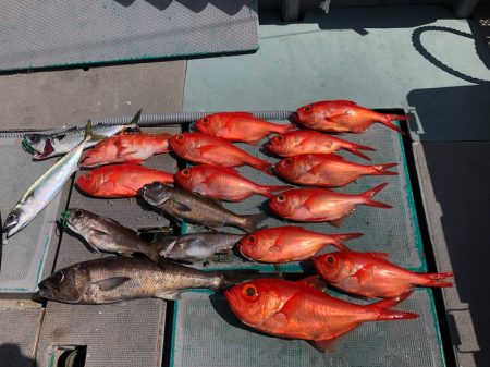 ＴＡＲＯＭＡＲＵ 釣果