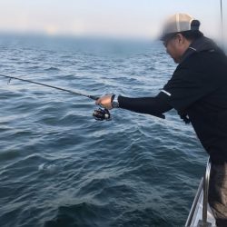 遊漁船メテオ 釣果