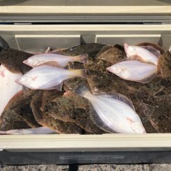 第二 つれたか丸 釣果