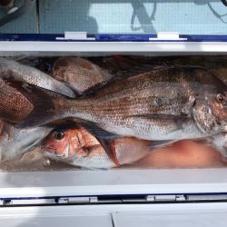 第二八坂丸 釣果