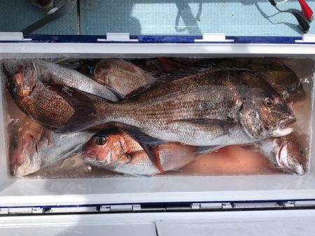 第二八坂丸 釣果