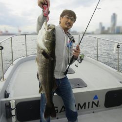 Chase(チェイス) 釣果