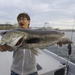 Chase(チェイス) 釣果