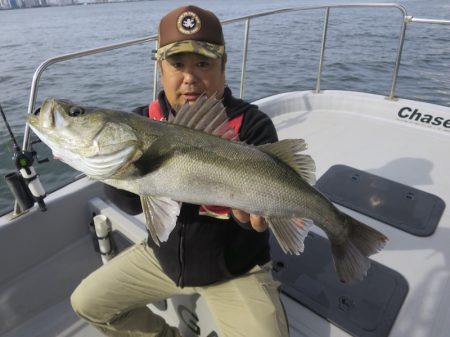 Chase(チェイス) 釣果