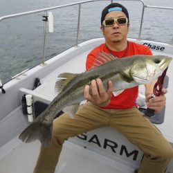 Chase(チェイス) 釣果