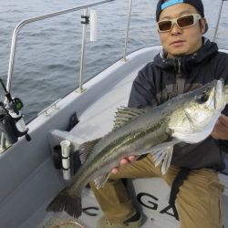 Chase(チェイス) 釣果