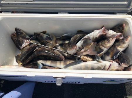 第二 つれたか丸 釣果