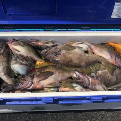 第二 つれたか丸 釣果