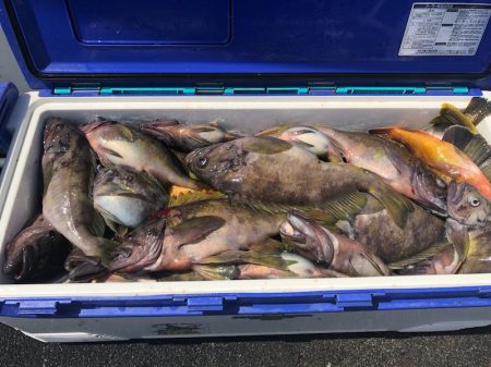 第二 つれたか丸 釣果