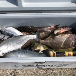 第二 つれたか丸 釣果