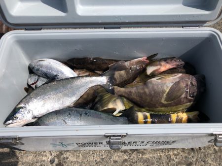 第二 つれたか丸 釣果