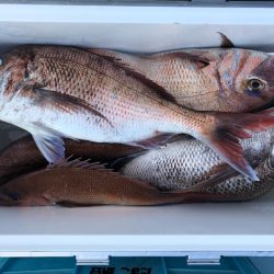 第二八坂丸 釣果