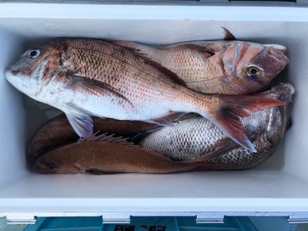 第二八坂丸 釣果