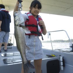 Chase（チェイス） 釣果