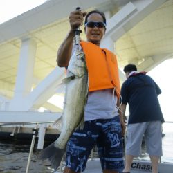 Chase（チェイス） 釣果