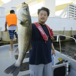 Chase（チェイス） 釣果