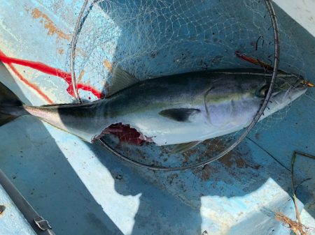 ぽん助丸 釣果