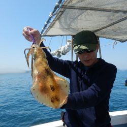 きずなまりん 釣果
