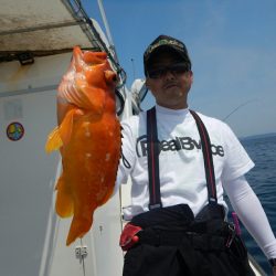 きずなまりん 釣果