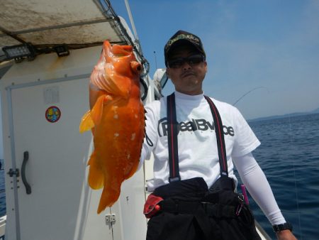 きずなまりん 釣果