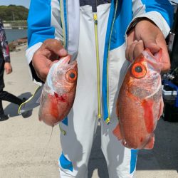 ぽん助丸 釣果