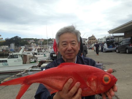 晃山丸 釣果
