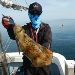 きずなまりん 釣果