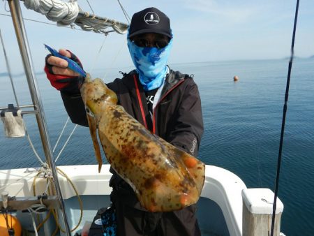 きずなまりん 釣果