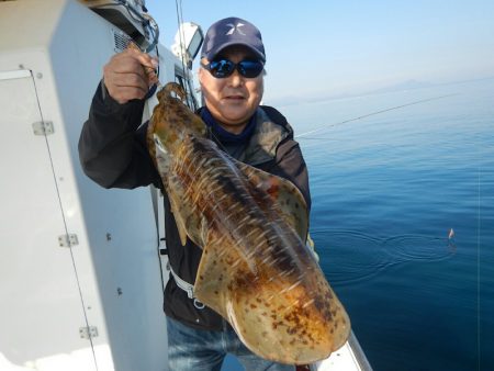 きずなまりん 釣果