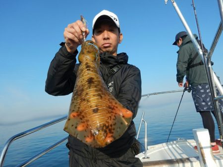 きずなまりん 釣果