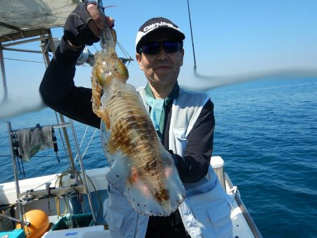 きずなまりん 釣果