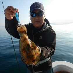 きずなまりん 釣果