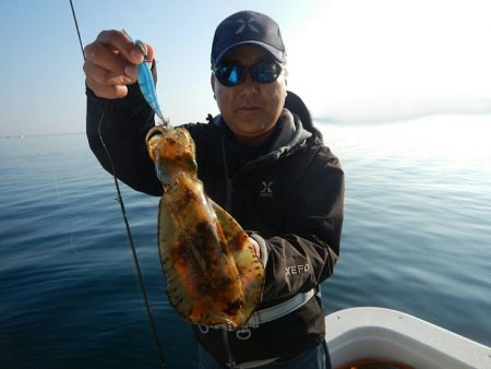きずなまりん 釣果