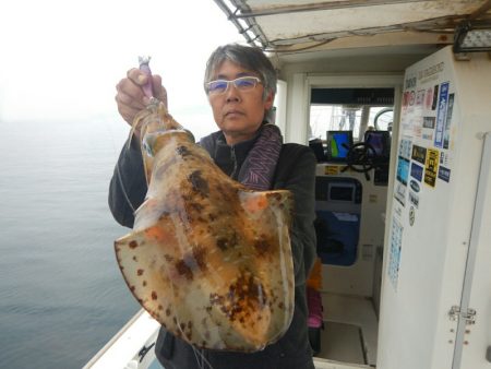 きずなまりん 釣果