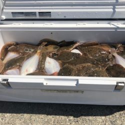 第二 つれたか丸 釣果