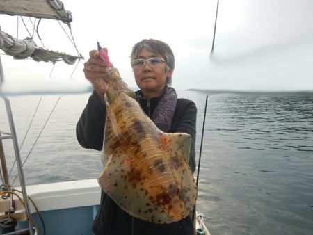 きずなまりん 釣果