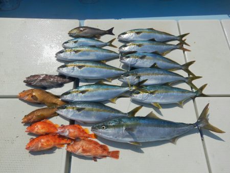 きずなまりん 釣果