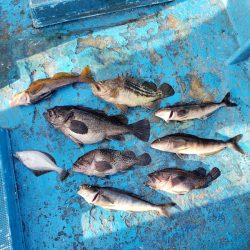 さち丸 釣果