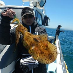 きずなまりん 釣果