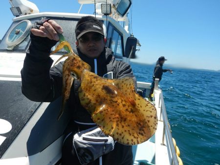 きずなまりん 釣果