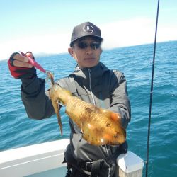 きずなまりん 釣果