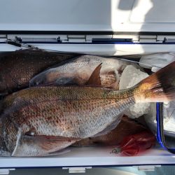 第二八坂丸 釣果