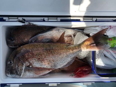 第二八坂丸 釣果