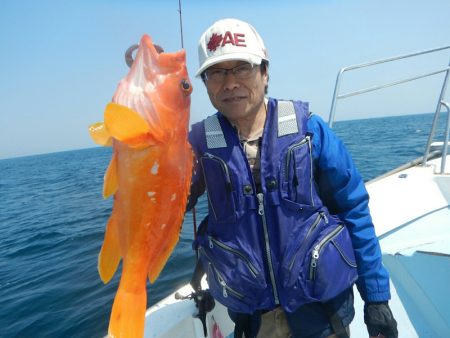 きずなまりん 釣果