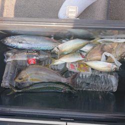 清和丸 釣果
