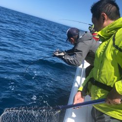 海友丸 釣果