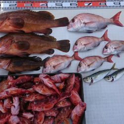 遊漁船 家入 釣果