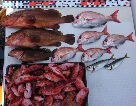 遊漁船 家入 釣果